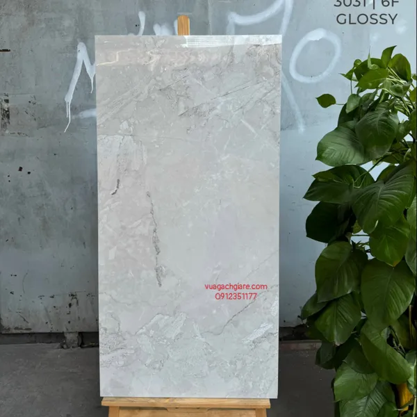 Gạch Đá 60x120 Ốp Lát Ấn Độ xám vân đá 3031