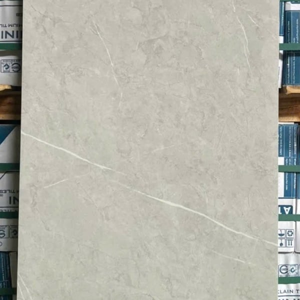 Gạch Đá 60x120 Ốp Lát Giá Rẻ xám vân trắng CT3212
