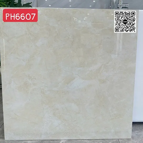 Gạch Đá 60x60 Ốp Lát Giá Rẻ kem vàng 6607