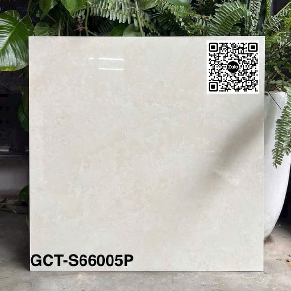 Gạch Đá 60x60 Ốp Lát Giá Rẻ kem vàng GCT S66005P