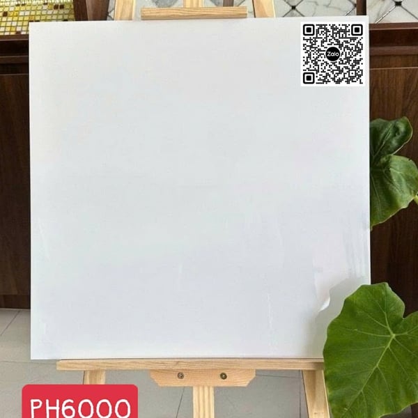 Gạch Đá 60x60 Ốp Lát Giá Rẻ trắng trơn PH6000