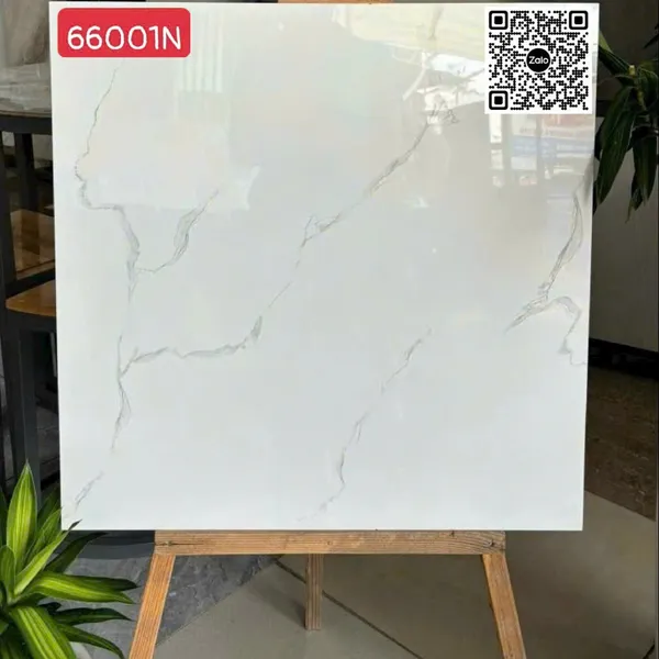 Gạch Đá 60x60 Ốp Lát Giá Rẻ trắng vân khói 66001N