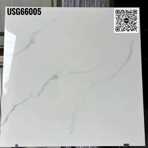 Gạch Đá 60x60 Ốp Lát Giá Rẻ trắng vân khói USG66005