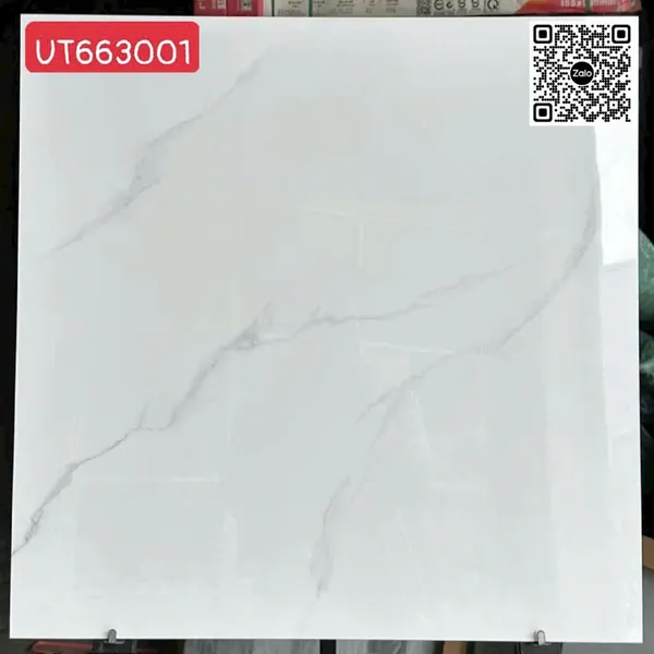 Gạch Đá 60x60 Ốp Lát Giá Rẻ trắng vân khói UT663001