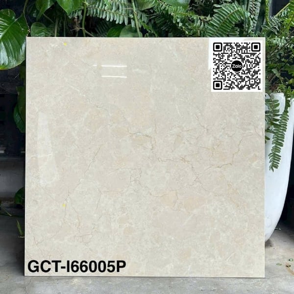 Gạch Đá 60x60 Ốp Lát Giá Rẻ vân đá GCT I66005P