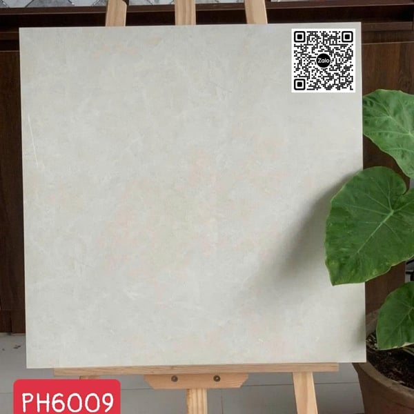 Gạch Đá 60x60 Ốp Lát Giá Rẻ vân mây PH6009