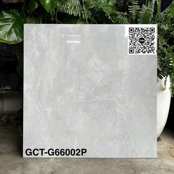 Gạch Đá 60x60 Ốp Lát Giá Rẻ xám vân đá GCT G66002P