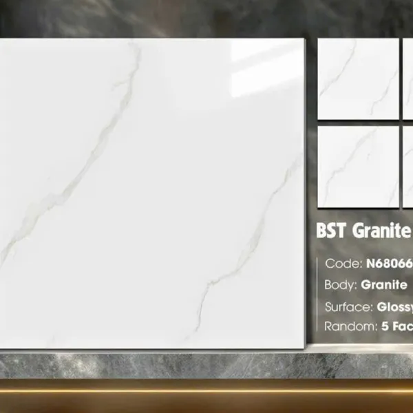 Gạch Đá 60x60 Ốp Lát Ý Mỹ Giá Rẻ trắng vân khói N68066R