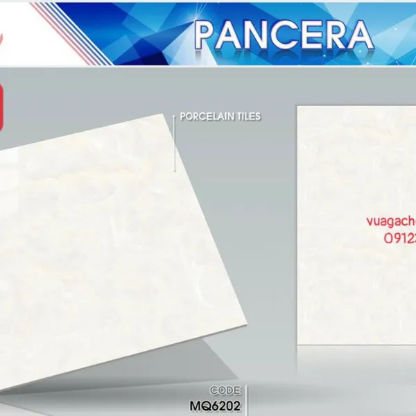 Gạch Đá Lát Nền 60x60 PANCERA vân đá MQ6202