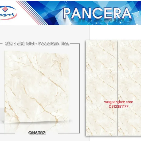 Gạch Đá Lát Nền 60x60 PANCERA vân đá QH6002