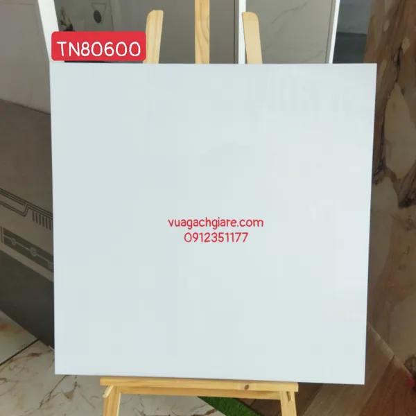 Gạch Đá 80x80 Ốp Lát Giá Rẻ Trung Nguyên trắng trơn TN80600