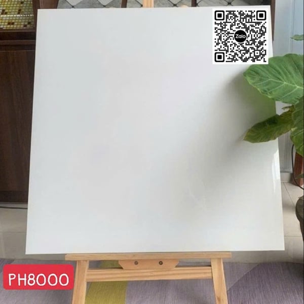 Gạch Đá 80x80 Ốp Lát Giá Rẻ trắng trơn PH8000