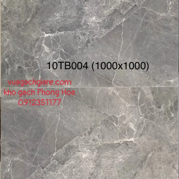Gạch Đá Lát Nền 100x100 Trung Quốc xám vân đá 10TB004