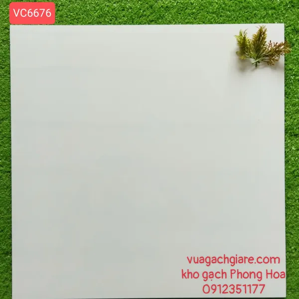 Gạch Đá Lát Nền 60x60 Giá Rẻ trắng trơn VC6676