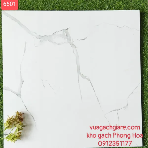 Gạch Đá Lát Nền 60x60 trắng vân khói 6601