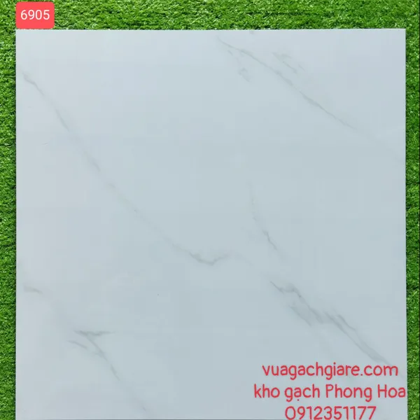 Gạch Đá Lát Nền 60x60 trắng vân khói 6905