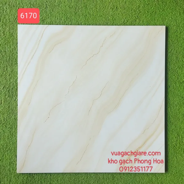 Gạch Đá Ốp Lát 60x60 vân vàng 6170