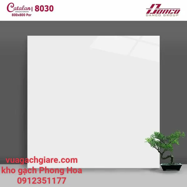 Gạch Đá Lát Nền 80x80 Catalan trắng trơn 8030