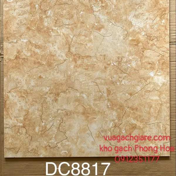 Gạch Đá Lát Nền 80x80 Trung Quốc đồng chất nhũ vàng DC8817