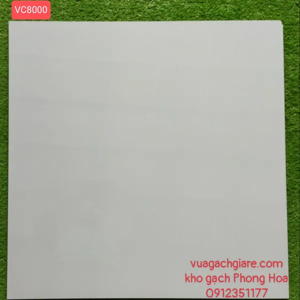 Gạch Đá Lát Nền 80x80 trắng trơn VC8000