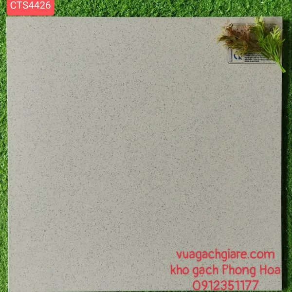 Gạch Đá Lát Sân 40x40 Thanh Thanh muối tiêu CTS4426