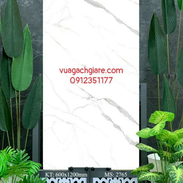 Gạch Đá Mờ Ốp Lát 60x120 AMY trắng vân khói 2765
