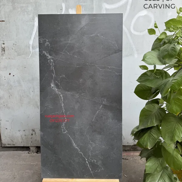 Gạch Đá Mờ 60x120 Ốp Lát Ấn Độ đen vân trắng 3325