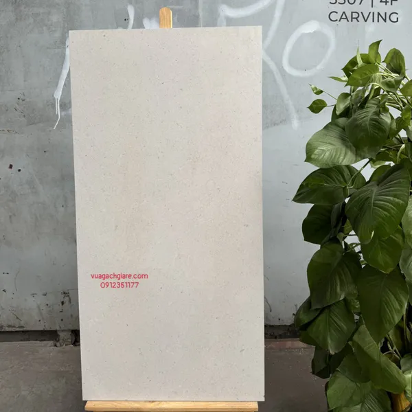 Gạch Đá Mờ 60x120 Ốp Lát Ấn Độ màu ghi 3307