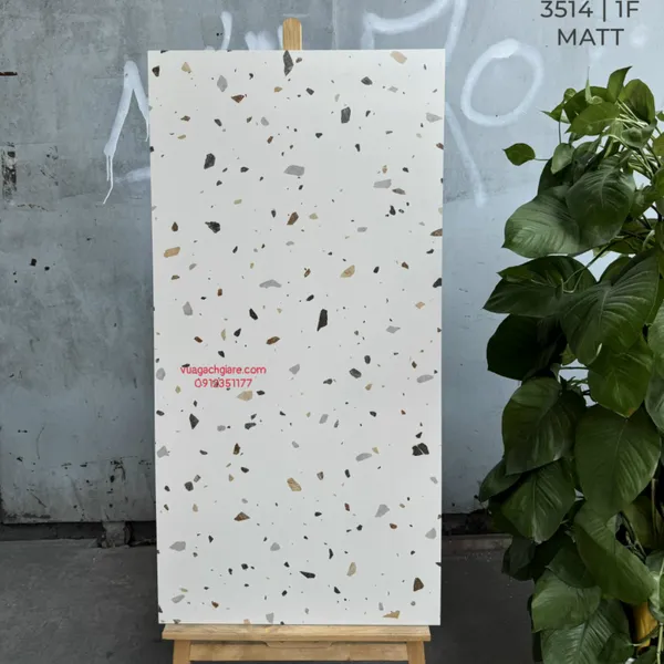 Gạch Đá Mờ 60x120 Ốp Lát Ấn Độ terrazzo 3514