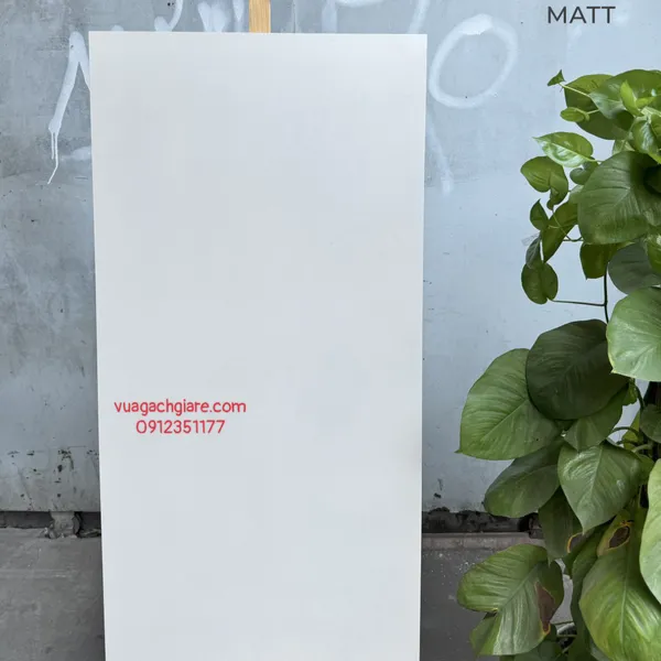 Gạch Đá Mờ 60x120 Ốp Lát Ấn Độ trắng trơn 3512