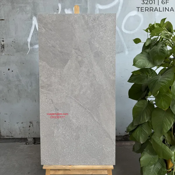 Gạch Đá Mờ 60x120 Ốp Lát Ấn Độ vân đá xám 3201