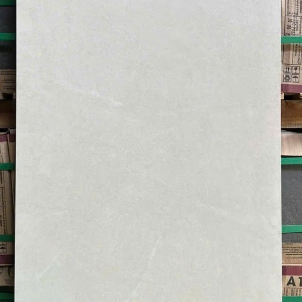 Gạch Đá Mờ 60x120 Ốp Lát Giá Rẻ xám nhạt CT1255