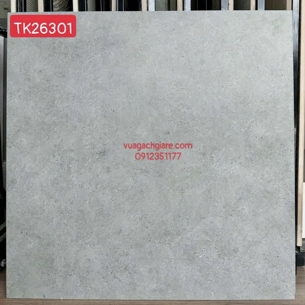 Gạch Đá Mờ 60x60 TAKAO Ốp Lát Giá Rẻ xám xi măng TK26301