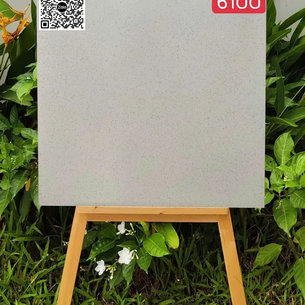 Gạch Đá Mờ 60x60 Ốp Lát Giá Rẻ muối tiêu 6100