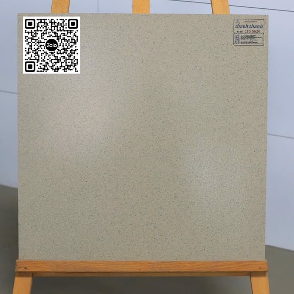 Gạch Đá Mờ 60x60 Ốp Lát Giá Rẻ muối tiêu CTS6626