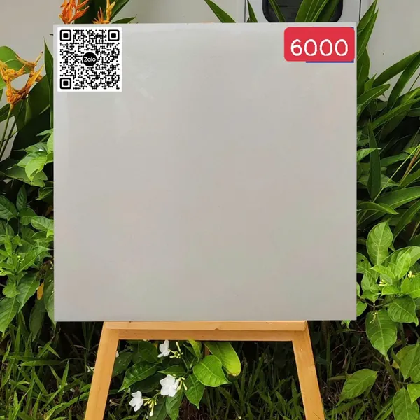 Gạch Đá Mờ 60x60 Ốp Lát Giá Rẻ trắng sữa 6000