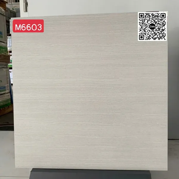 Gạch Đá Mờ 60x60 Ốp Lát Giá Rẻ Viglacera xám nhạt M6603