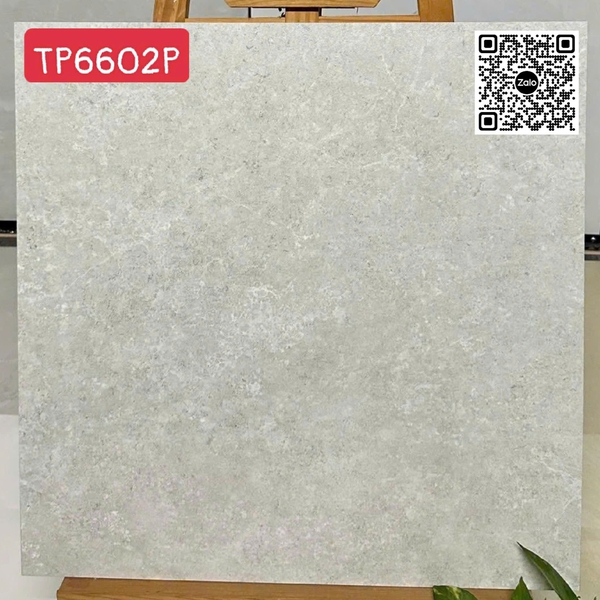 Gạch Đá Mờ 60x60 Ốp Lát Giá Rẻ xám nhạt TP6602P