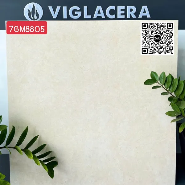 Gạch Đá Mờ 80x80 Ốp Lát Giá Rẻ Viglacera xám nhạt 7GM8805