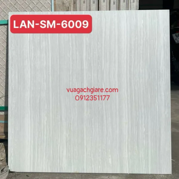 Gạch Đá Mờ 60x60 PAK vân gỗ xám SM6009