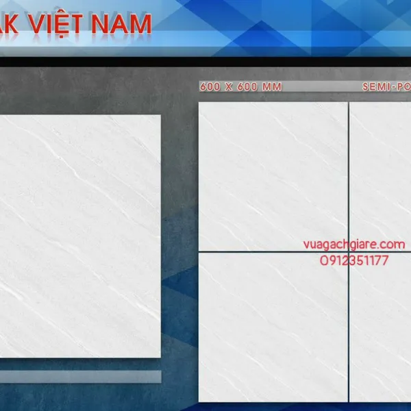 Gạch Đá Mờ 60x60 PAK xám vân trắng SM601