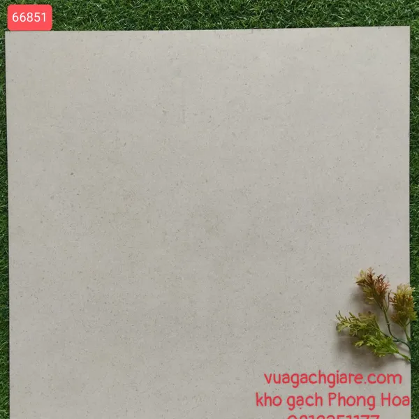 Gạch Đá Mờ Lát Nền 60x60 Royal 66851
