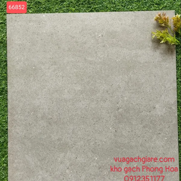 Gạch Đá Mờ Lát Nền 60x60 Royal xám xi măng 66852