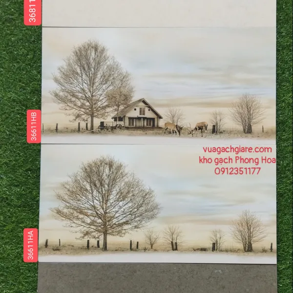Gạch Đá Mờ Ốp Tường 30x60 Hoàng Gia 36811 - 36811HB - 36811HA - 36816