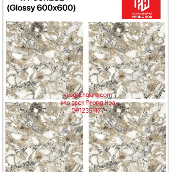 Gạch Đá Ốp Lát 60x60 Cao Cấp Ấn Độ vân đá VA-66.1282