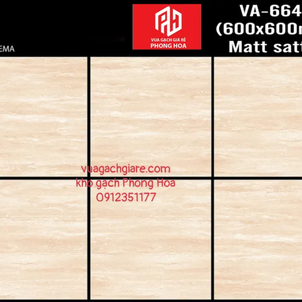 Gạch Đá Ốp Lát 60x60 Cao Cấp Ấn Độ vân sọc ngang VA-6647