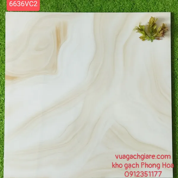 Gạch Đá Ốp Lát 60x60 vân vàng 6636VC2