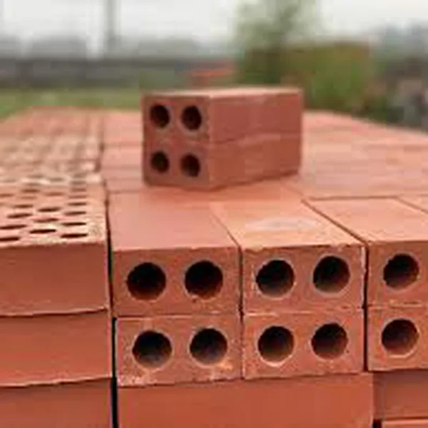 Gạch Đinh - Gạch Thẻ 2 Lỗ Xây Dựng lỗ tròn