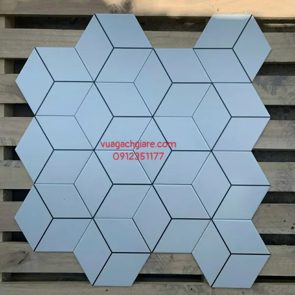 Gạch Lục Giác 23x20 Ốp Lát Trang Trí Giá Rẻ trắng viền đen