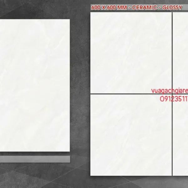 Gạch Men 60x60 Lát Nền Giá Rẻ PAK vân mây K6608